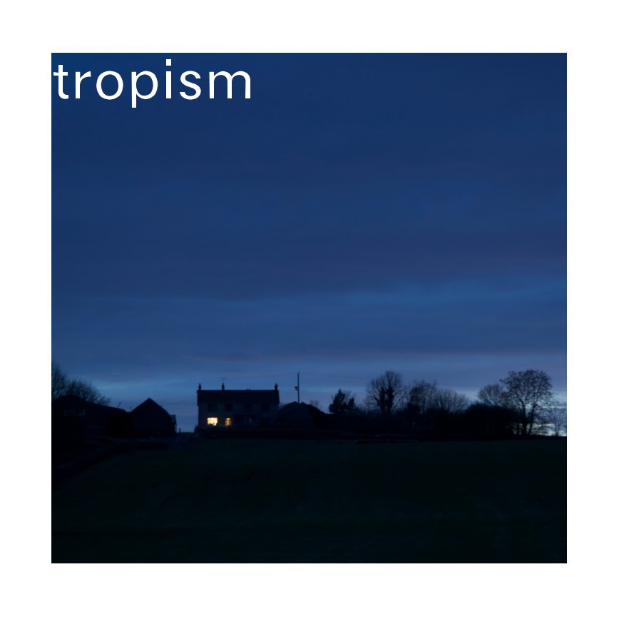 View Tropism by Stephen Wilson