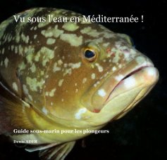 Vu sous l'eau en Méditerranée ! book cover