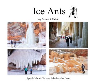 Ice Ants book cover