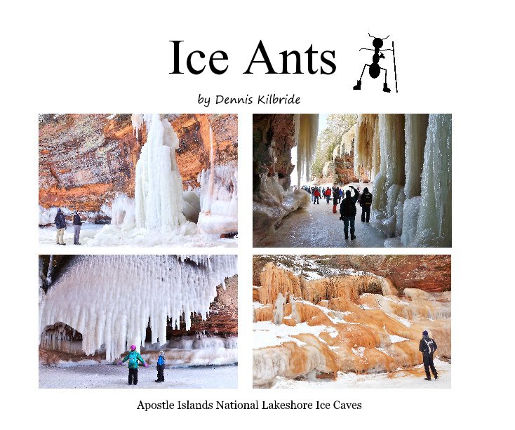 View Ice Ants by Dennis Kilbride