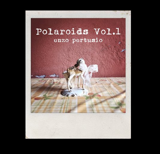 Ver Polaroids Vol.1 enzo pertusio por enzo pertusio
