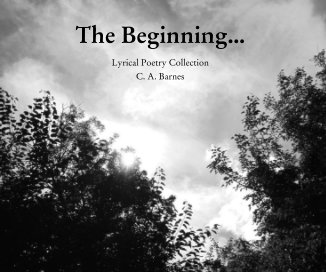 The Beginning... book cover