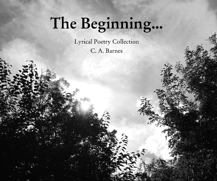 View The Beginning... by C. A. Barnes