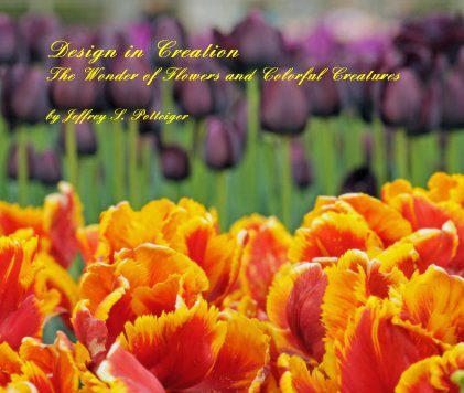 Design in Creation The Wonder of Flowers and Colorful Creatures book cover