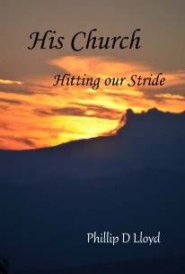 His Church book cover