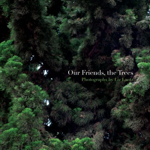 Ver Our Friends, the Trees - 7" x 7" por Liz Lantz