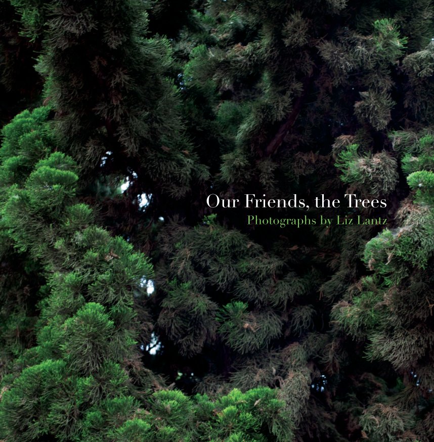 Ver Our Friends, the Trees - 12 x 12 por Liz Lantz