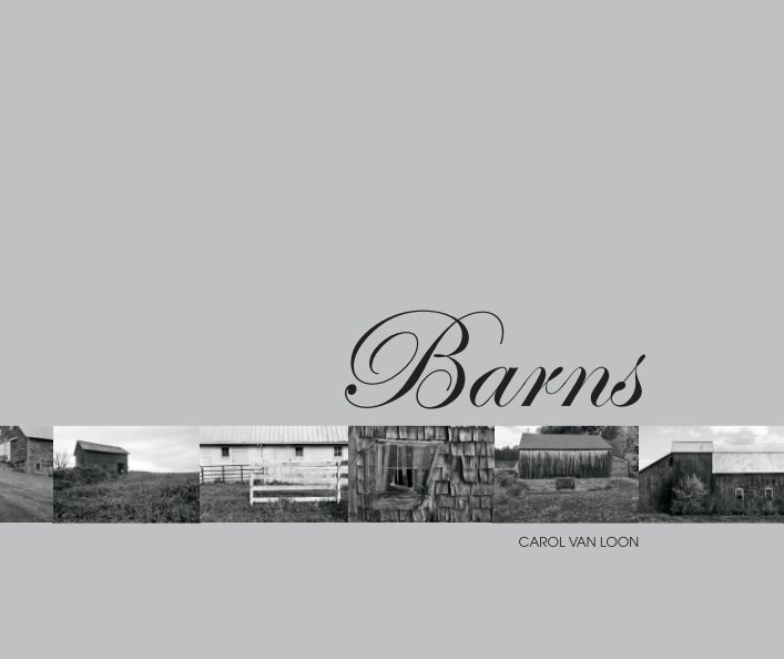 Visualizza Barns di Carol Van Loon