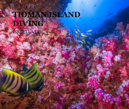 TIOMAN ISLAND DIVING book cover