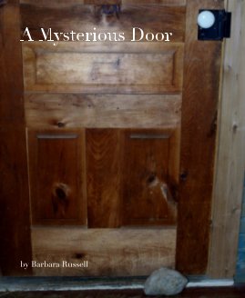 A Mysterious Door book cover