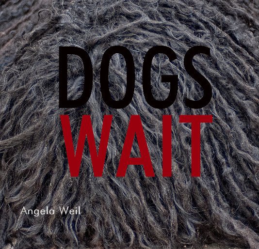 Dogs Wait nach Von Angela Weil anzeigen