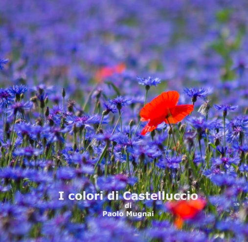 View Untitled by I colori di Castelluccio di  Paolo Mugnai