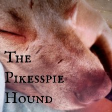 The Pikesspie Hound book cover