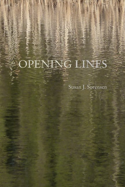 View Opening Lines by Susan J. Sorensen