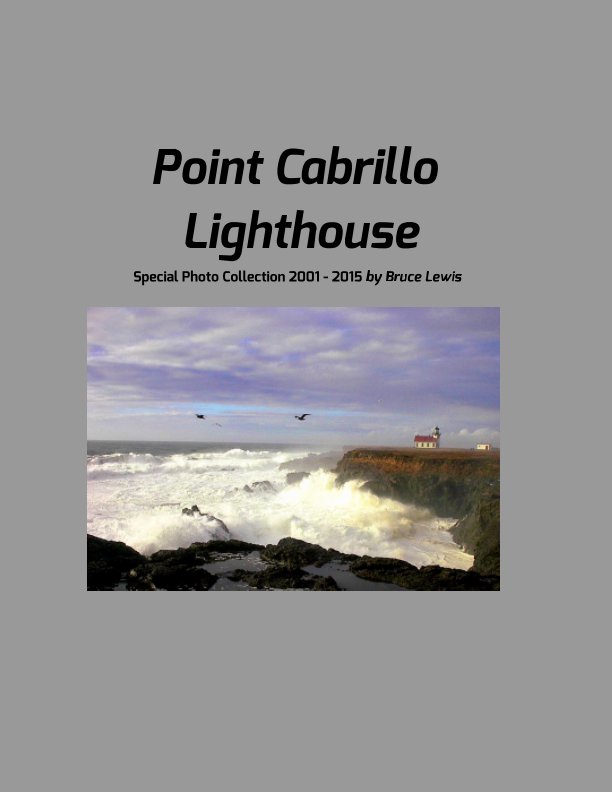 View Point Cabrillo Lighthouse by Bruce Lewis