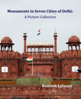 Monuments in Seven Cities of Delhi: A Picture Collection book cover