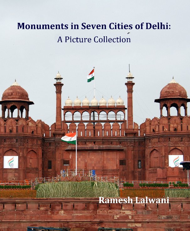 Ver Monuments in Seven Cities of Delhi: A Picture Collection por Ramesh Lalwani