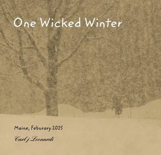 Ver One Wicked Winter por Carl j Leonardi