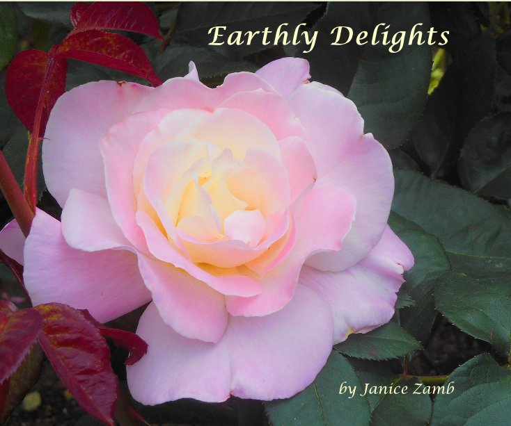 View Earthly Delights by Janice Zamb