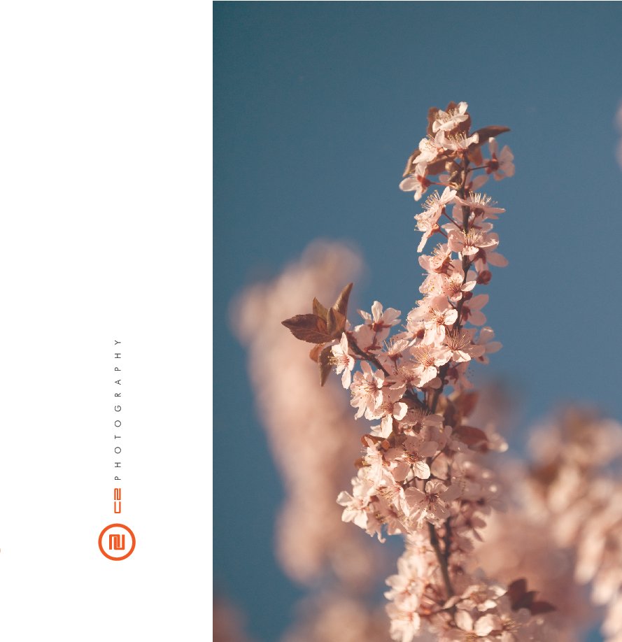 View C2 Photography by Charles & Cindy