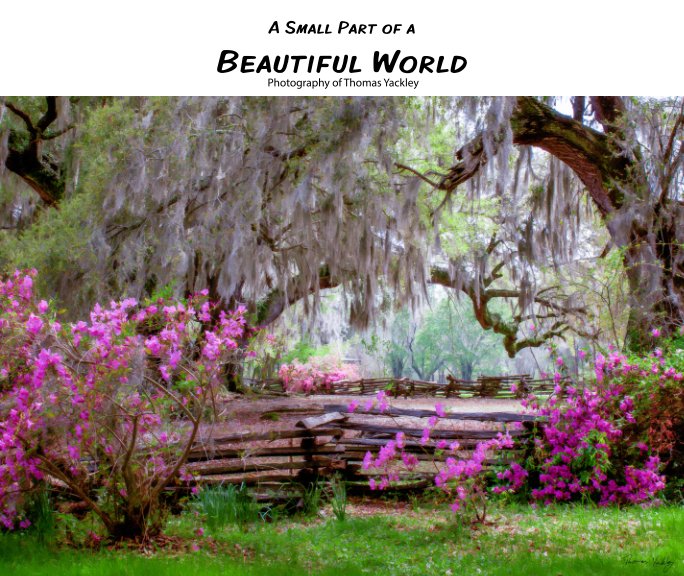 Ver A Small Part of a Beautiful World por Thomas Yackley