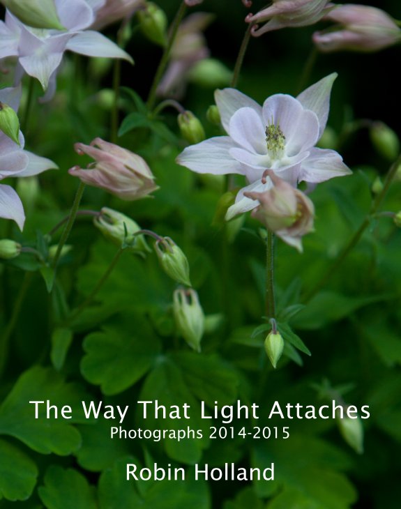 Ver The Way That Light Attaches por Robin Holland