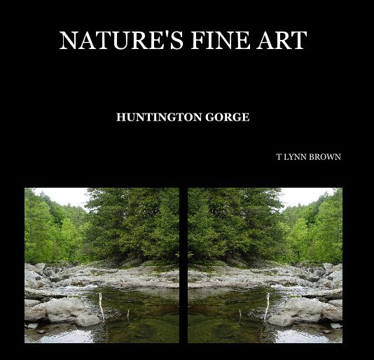 View NATURE'S FINE ART by T LYNN BROWN