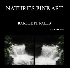 NATURE'S FINE ART book cover