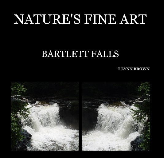 View NATURE'S FINE ART by T LYNN BROWN