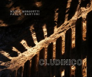 CLUDINICO book cover