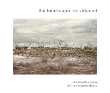 The landscape revisioned book cover
