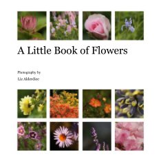 A Little Book of Flowers book cover