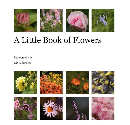 View A Little Book of Flowers by Liz Alderdice