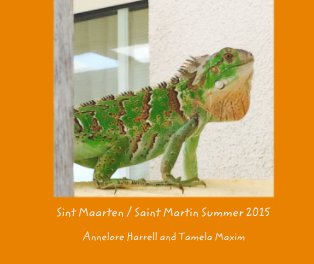 Sint Maarten / Saint Martin Summer 2015 book cover