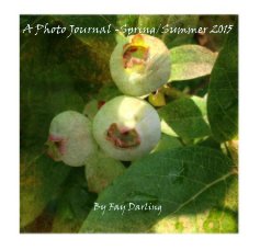 A Photo Journal -Spring/Summer 2015 book cover