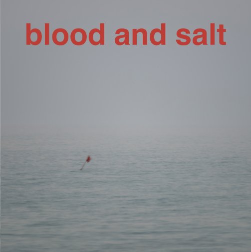 View blood and salt by Sarah Smith