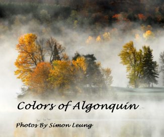 Colors of Algonquin book cover