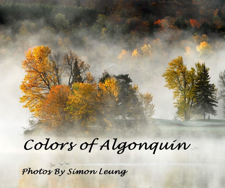 Visualizza Colors of Algonquin di Photos By Simon Leung