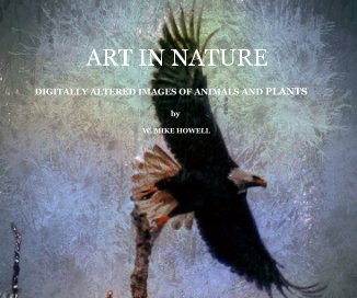 ART IN NATURE book cover