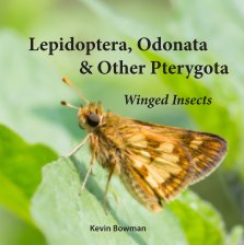 Lepidoptera, Odonata & Other Pterygota book cover