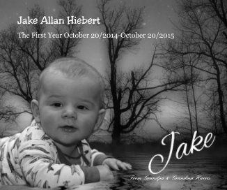 Jake Allan Hiebert book cover