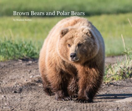 Brown Bears and Polar Bears book cover