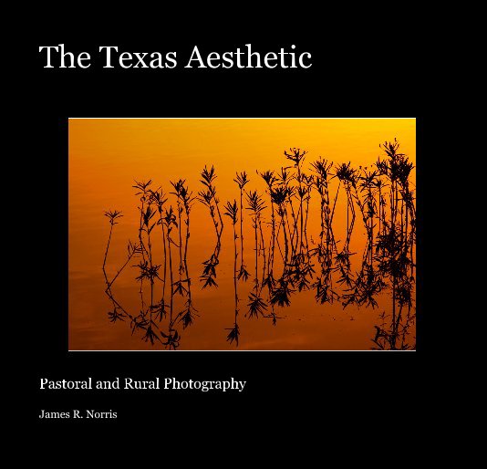 View The Texas Aesthetic by James R. Norris