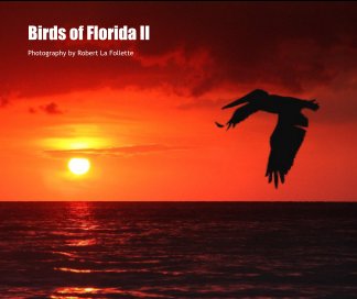 Birds of Florida II book cover