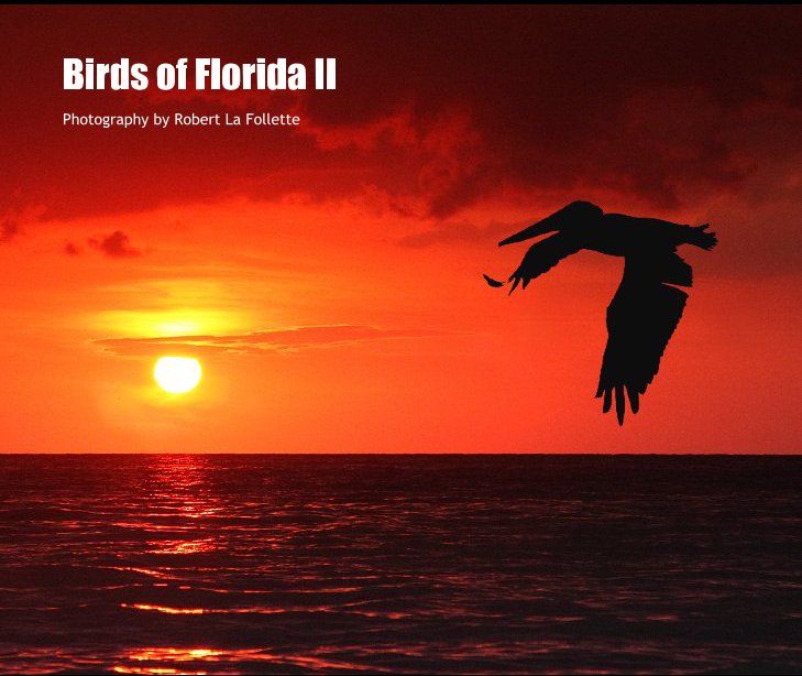 View Birds of Florida II by Robert La Follette