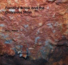 Furnace Brook and the Ochreous Stain book cover