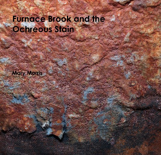 View Furnace Brook and the Ochreous Stain by Mary Morris
