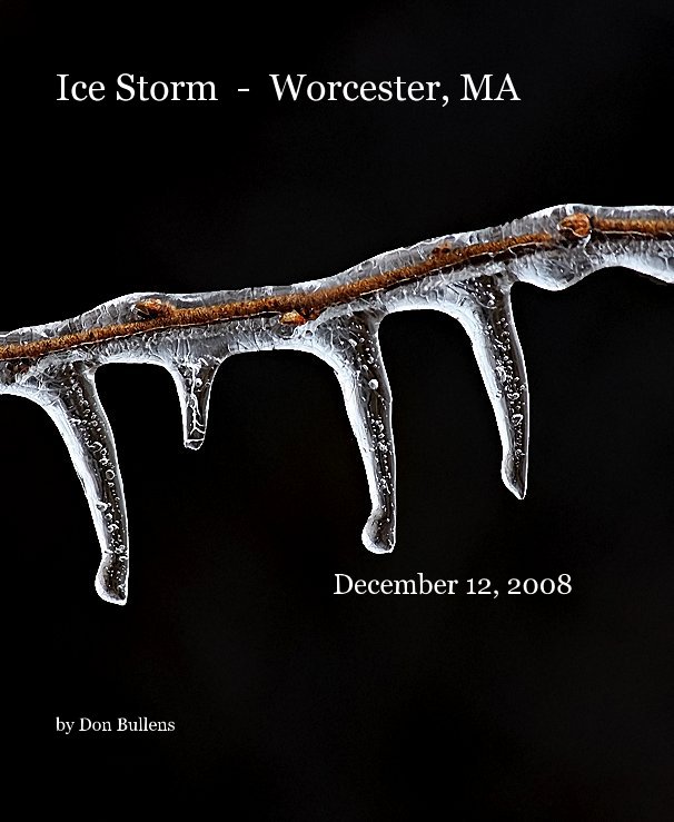 View Ice Storm - Worcester, MA by Don Bullens