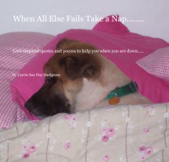 When All Else Fails Take a Nap........ book cover