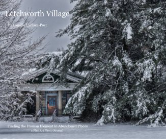 Letchworth Village book cover